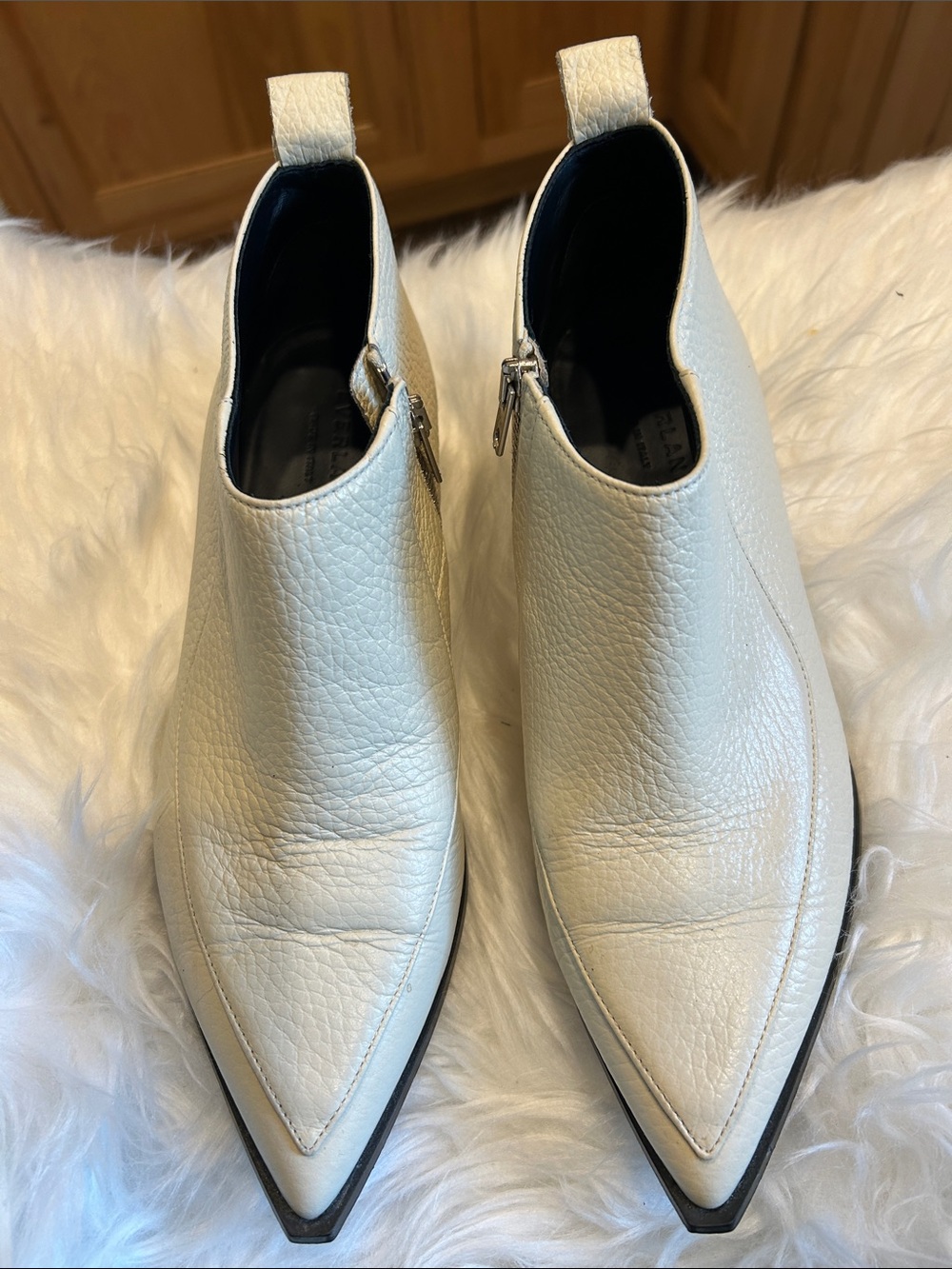 EVERLANE Pointed Toe Leather Ankle Boots - Made in Italy 🇮🇹 Size 8